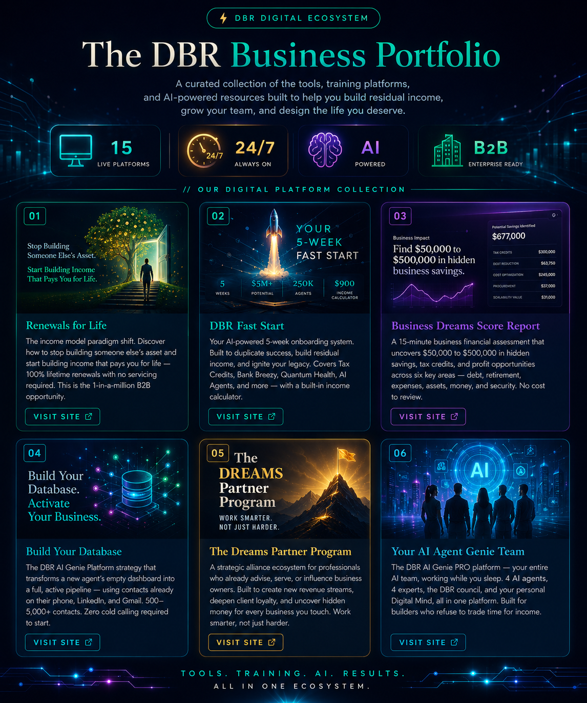 DBR Business Portfolio
